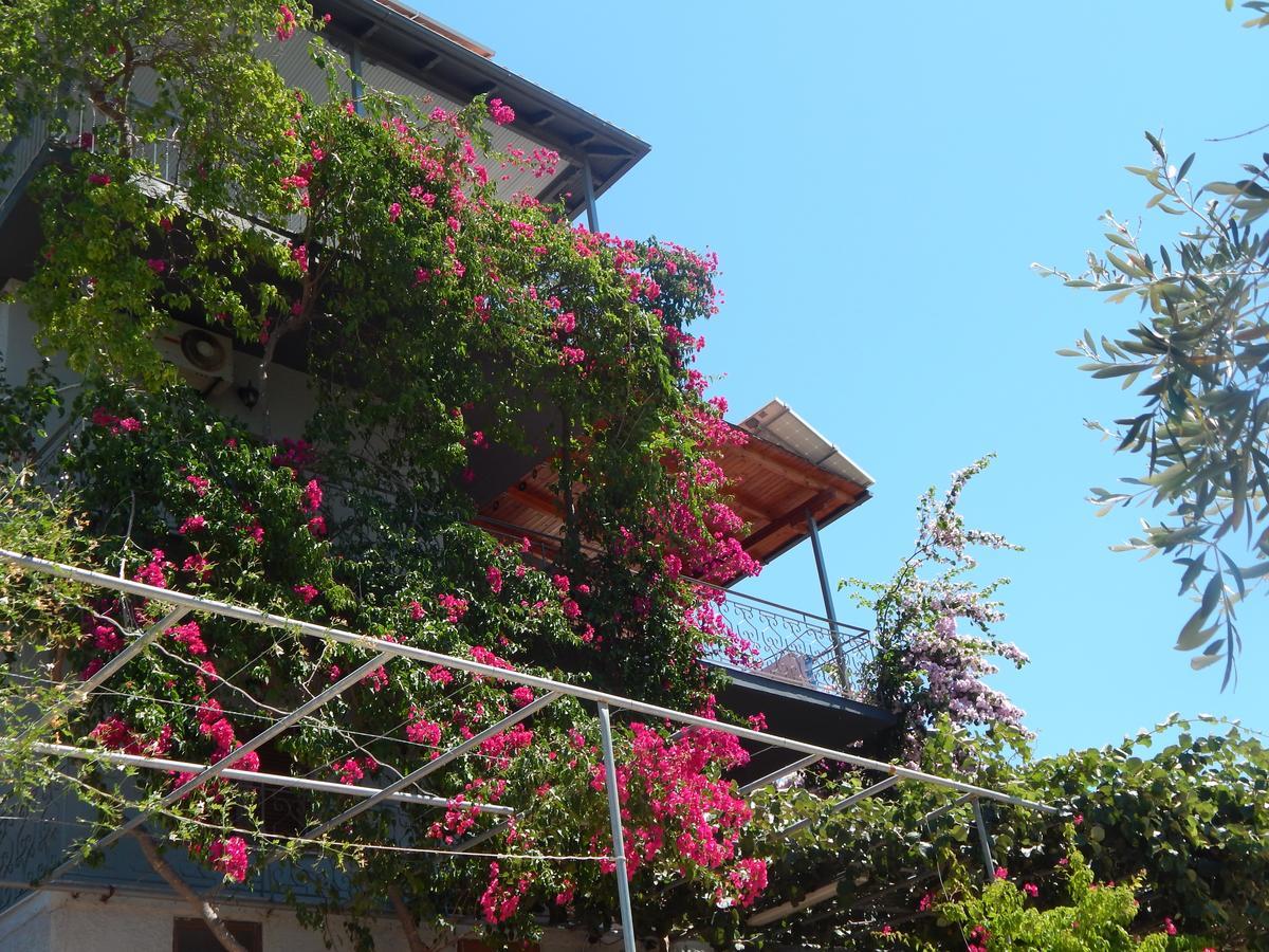 Sofia Apartments Syvota Exterior photo
